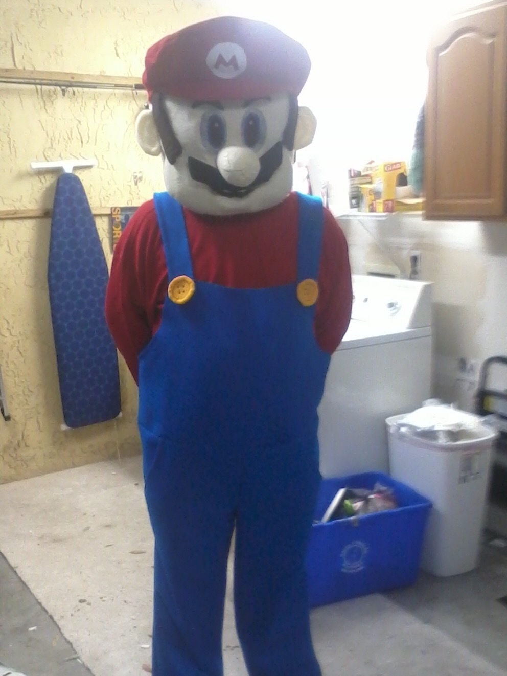 Mario costume full